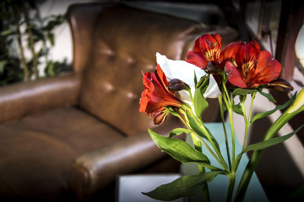 York Vintage Bed & Breakfast La Paz Luaran gambar